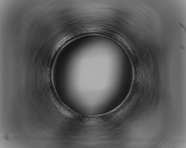 X0000092100786200709121543