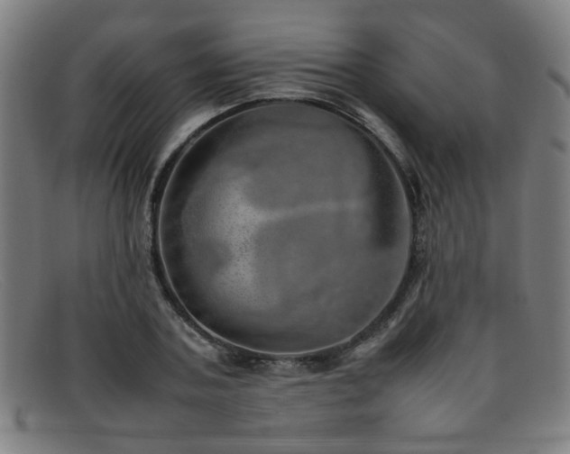 X0000092100787200709121543