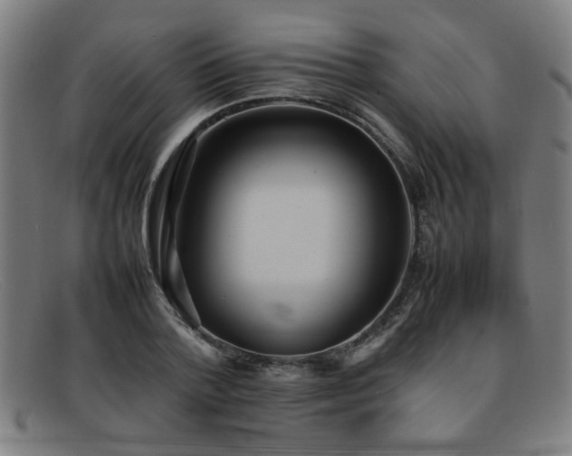 X0000092100788200709121543