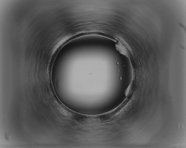 X0000092100789200709121543