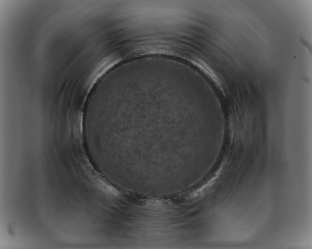 X0000092100790200709121543