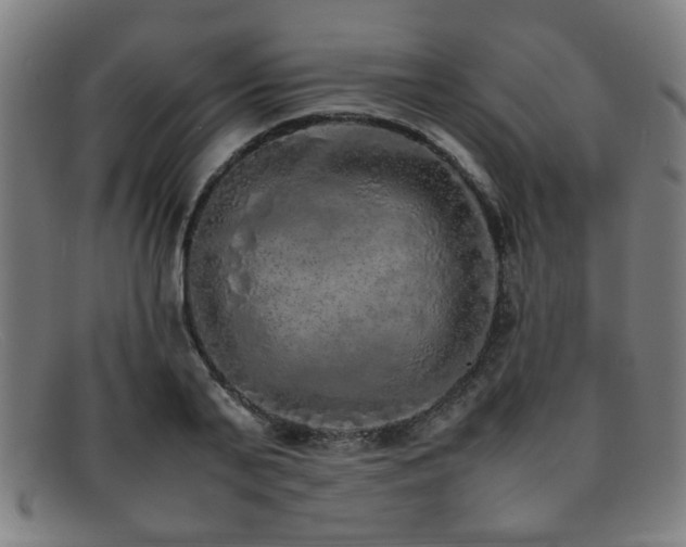X0000092100791200709121543