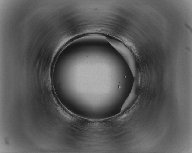 X0000092100792200709121543