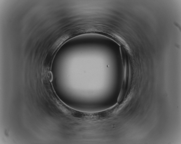 X0000092100793200709121543