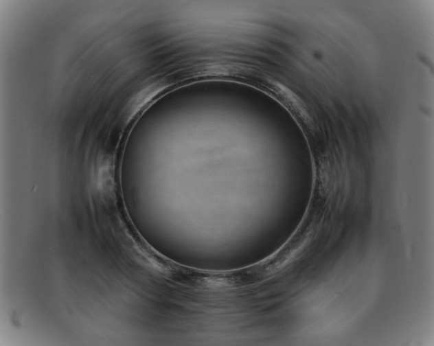 X0000092100794200709121543