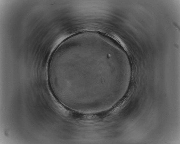 X0000092100795200709121543