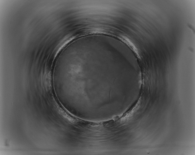 X0000092100798200709121543