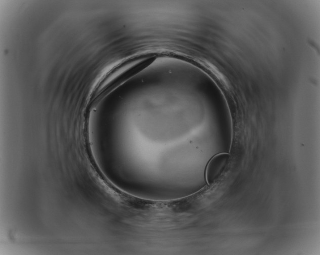 X0000092100799200709121543