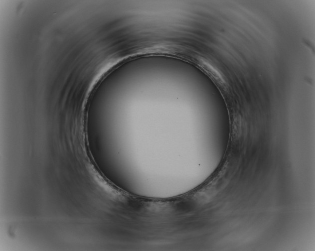 X0000092100800200709121543