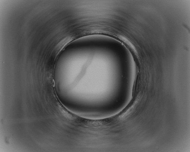 X0000092100801200709121543