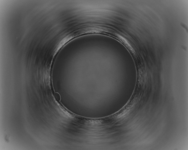 X0000092100802200709121543