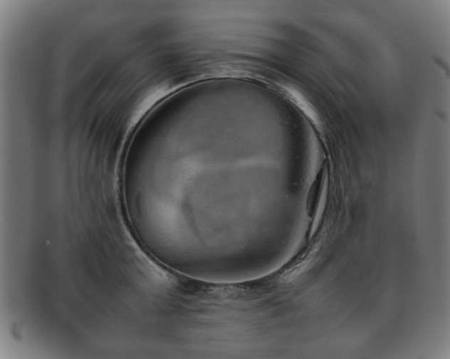 X0000092100803200709121543