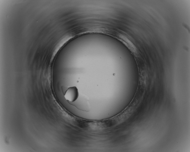 X0000092100804200709121543