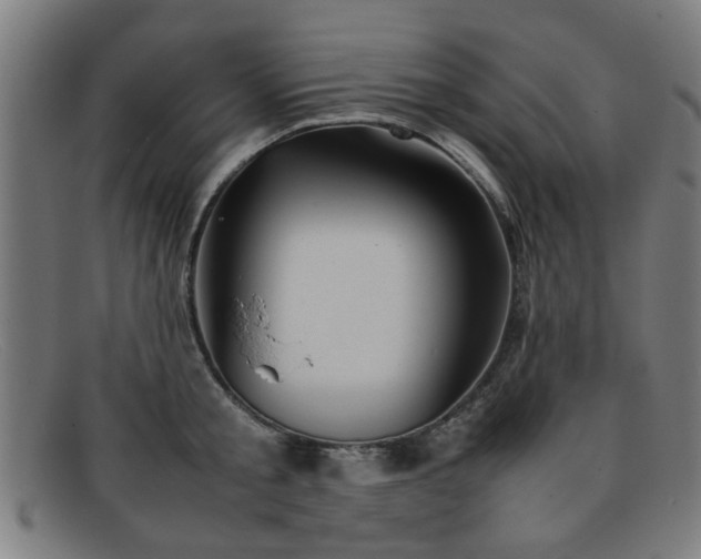 X0000092100805200709121543