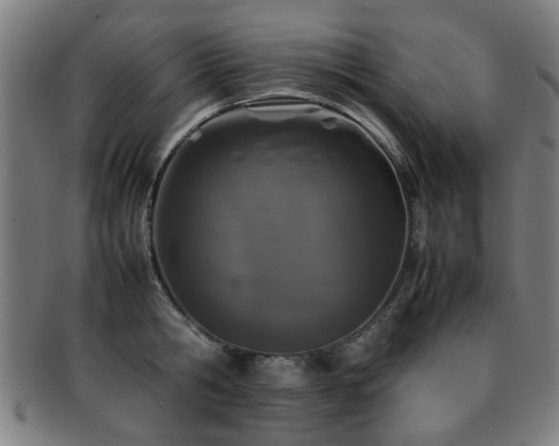 X0000092100806200709121543