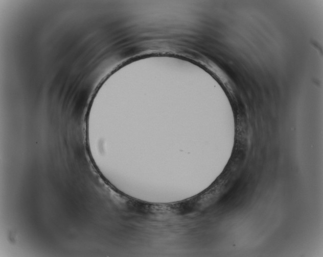 X0000092100807200709121543