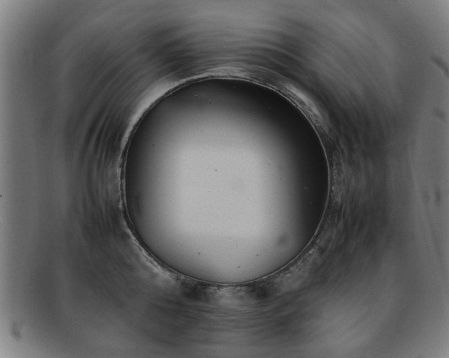 X0000092100808200709121543
