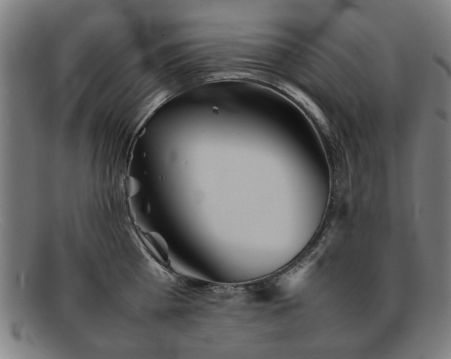 X0000092100809200709121543