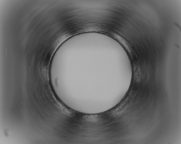 X0000092100810200709121543