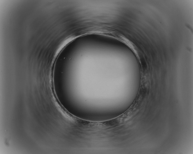 X0000092100811200709121543