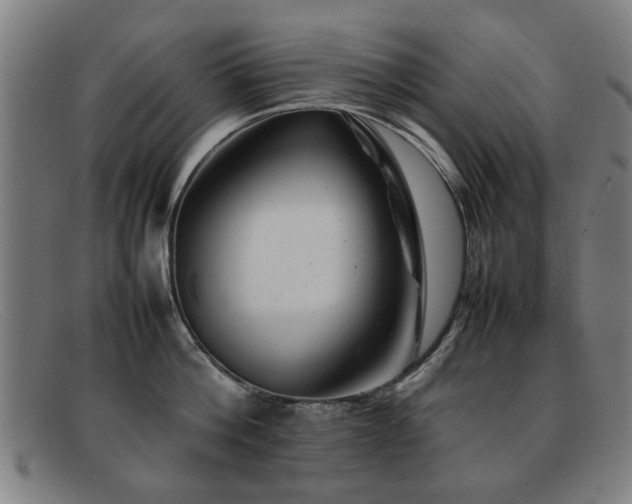 X0000092100812200709121543