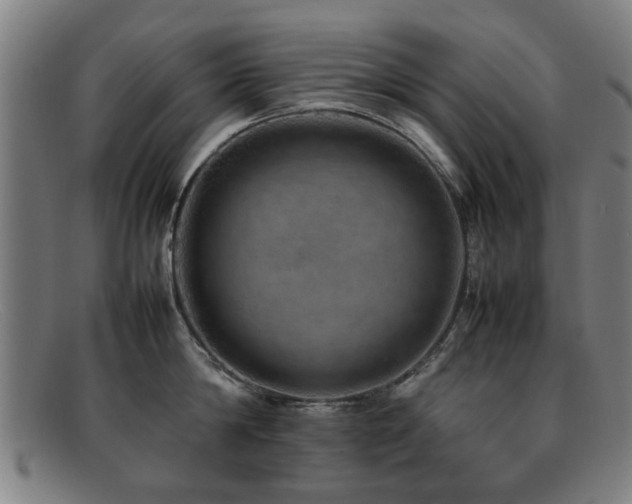 X0000092100814200709121543