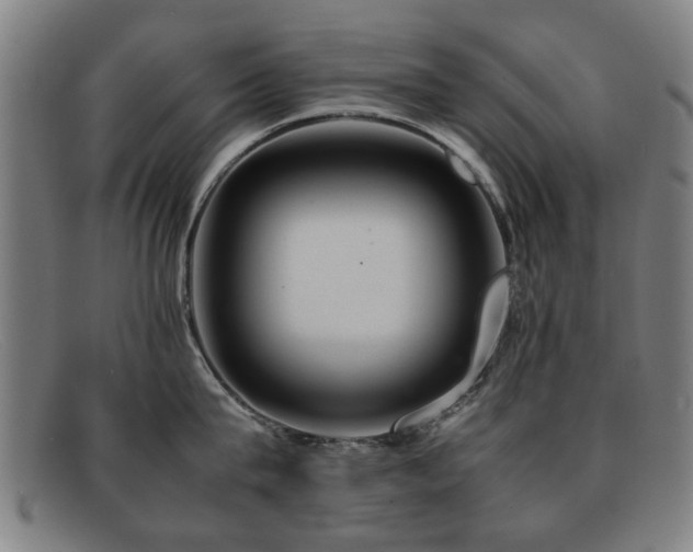 X0000092100815200709121543