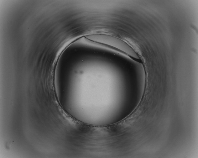 X0000092100816200709121543