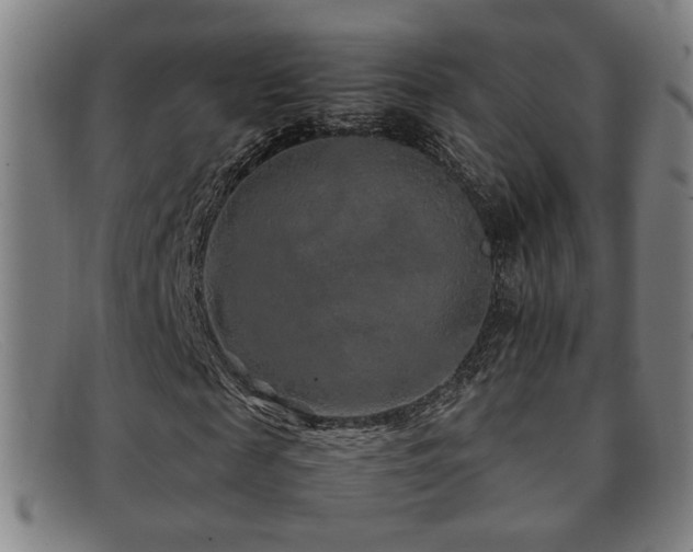 X0000092100817200709121542