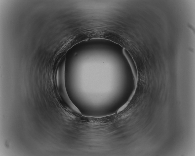 X0000092100818200709121542