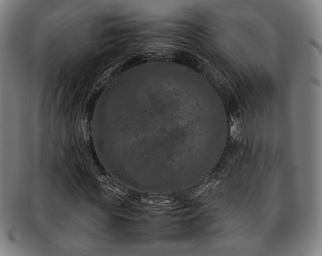 X0000092100819200709121542