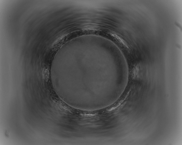 X0000092100821200709121542