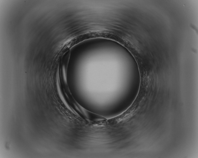X0000092100822200709121543