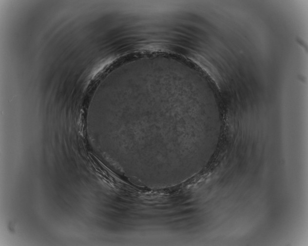 X0000092100823200709121543
