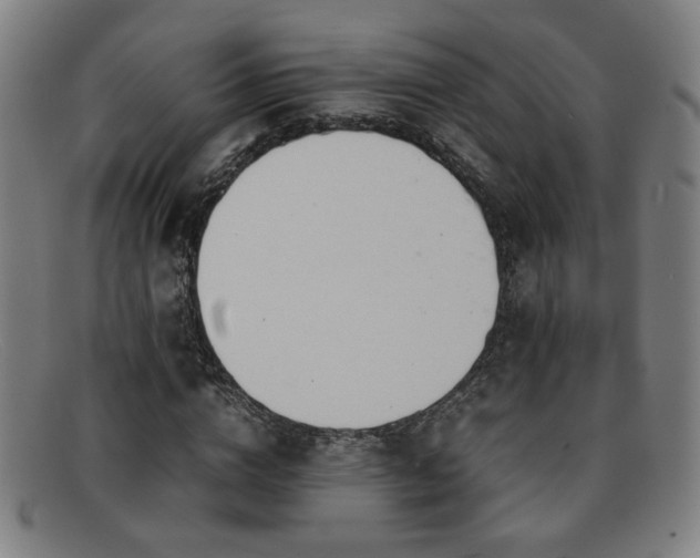 X0000092100824200709121543