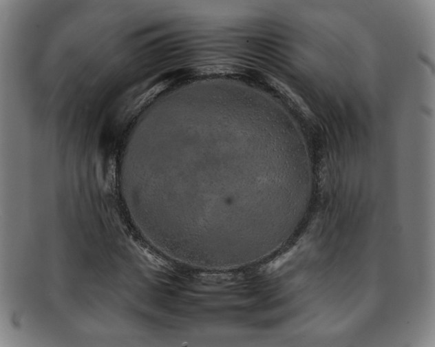 X0000092100825200709121543