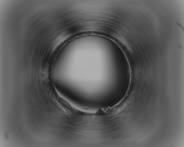 X0000092100826200709121543