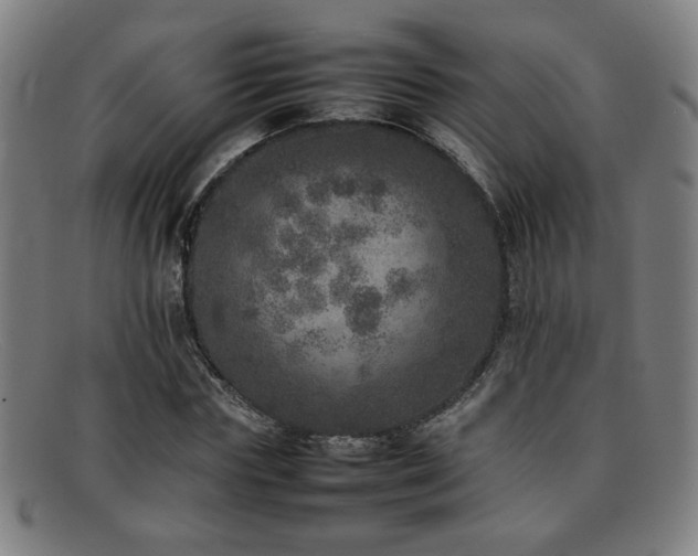 X0000092100827200709121543