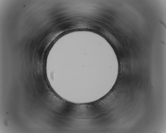 X0000092100828200709121543