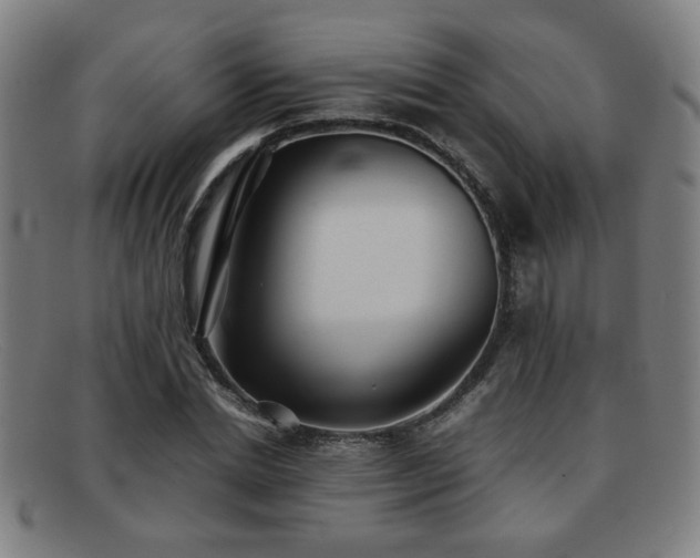 X0000092100830200709121543