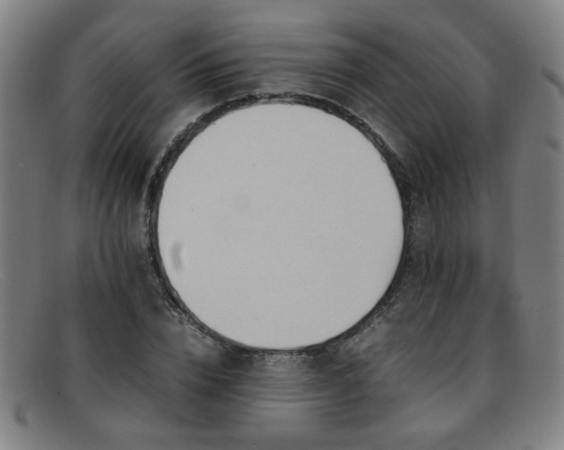 X0000092100832200709121543