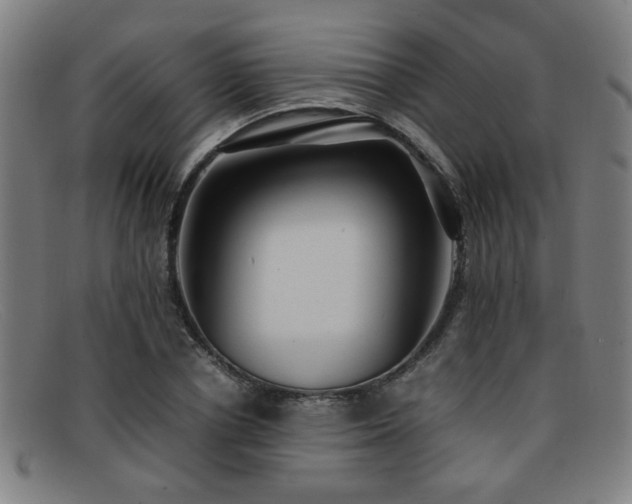 X0000092100834200709121543