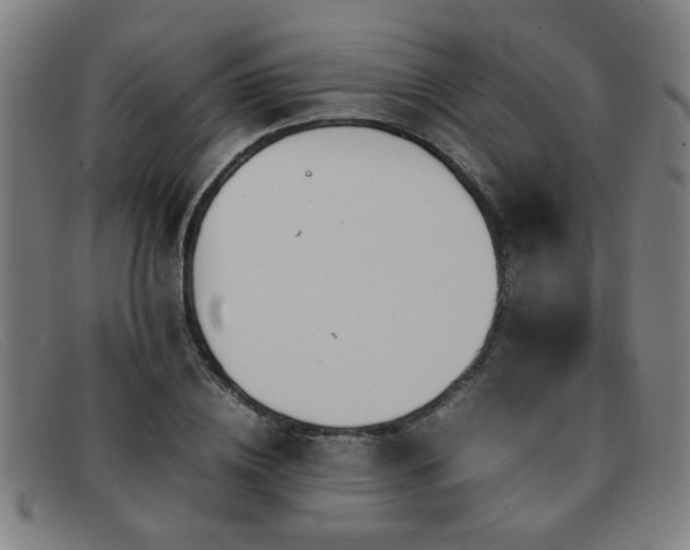 X0000092100836200709121543
