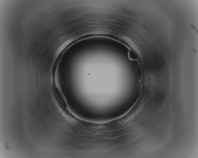 X0000092100837200709121543