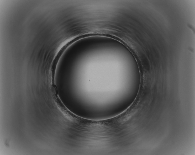X0000092100838200709121543
