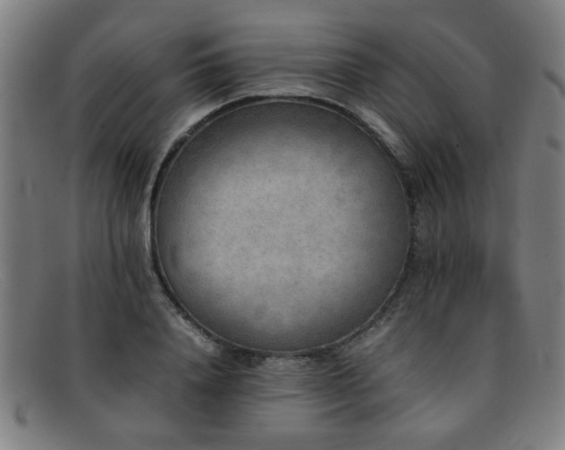 X0000092100840200709121543
