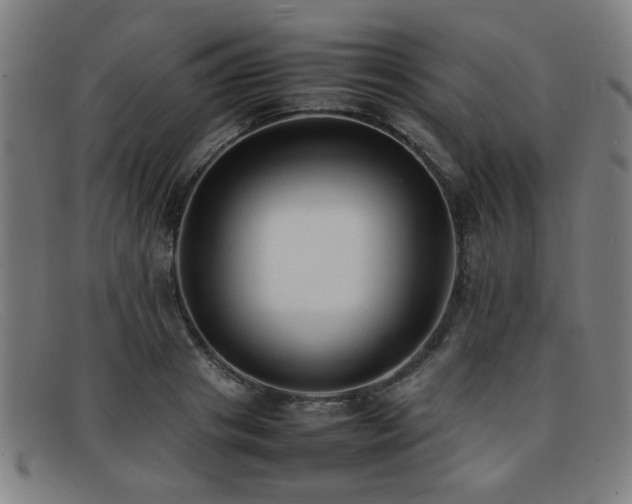 X0000092100841200709121543