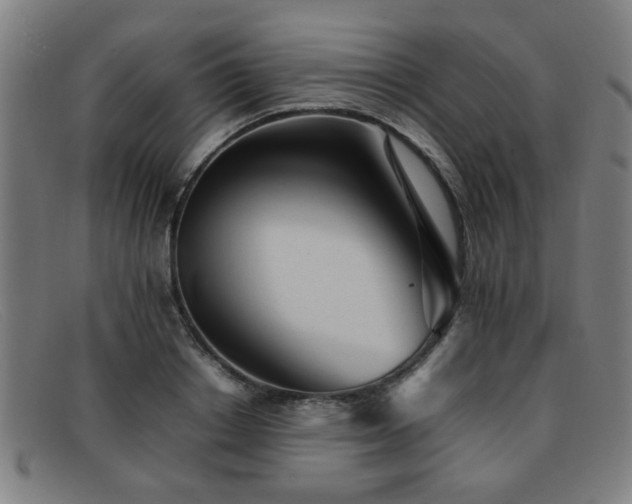 X0000092100842200709121543