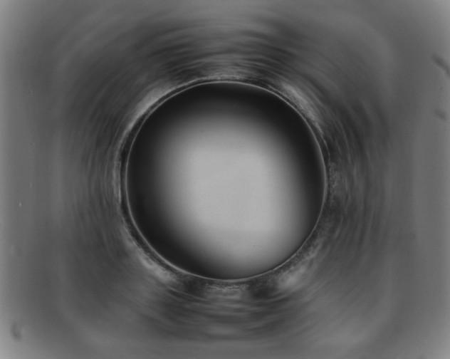 X0000092100843200709121543