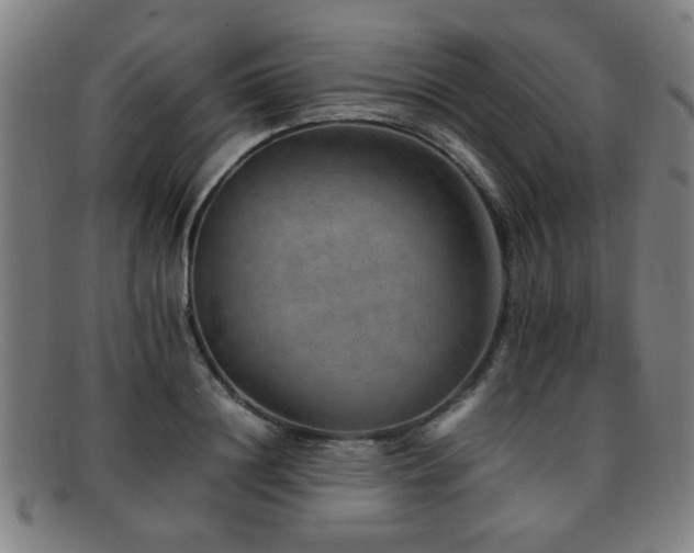 X0000092100844200709121543